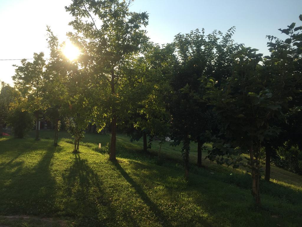 B&B Nido Sui Laghi San Donnino della Nizzola Kültér fotó