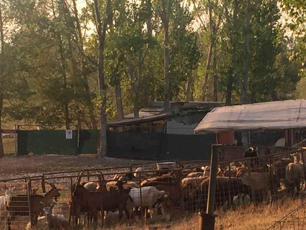 B&B Nido Sui Laghi San Donnino della Nizzola Kültér fotó